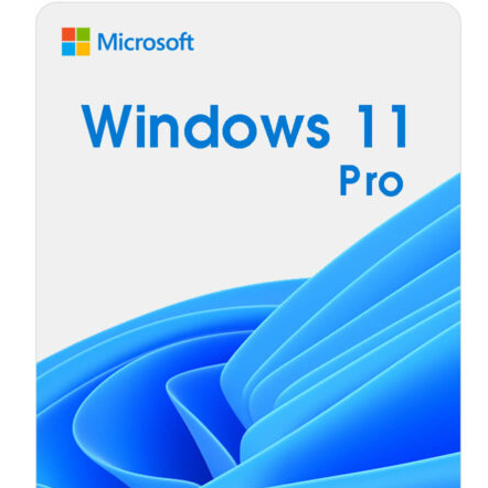 Key Windows 11 Professional PC